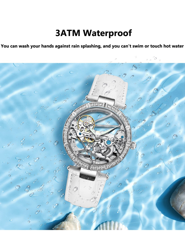 Luxury Skeleton Silver Dial Fa - Skeleton Mechanical Watch recension och pris